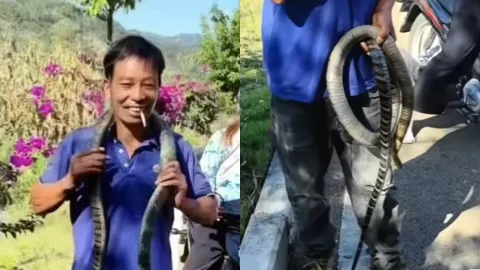 贵州男子被蛇咬