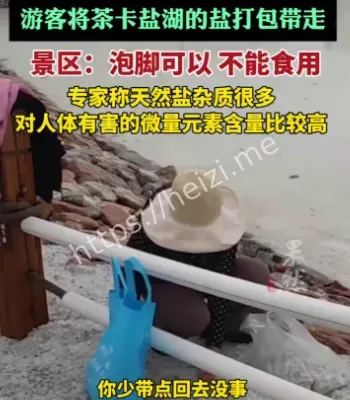 茶卡盐湖盐铺路偷盐事件