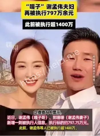 嘎子谢孟伟夫妇
